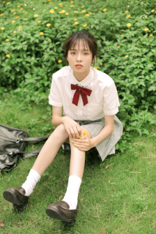 布莱泽奥特曼27集